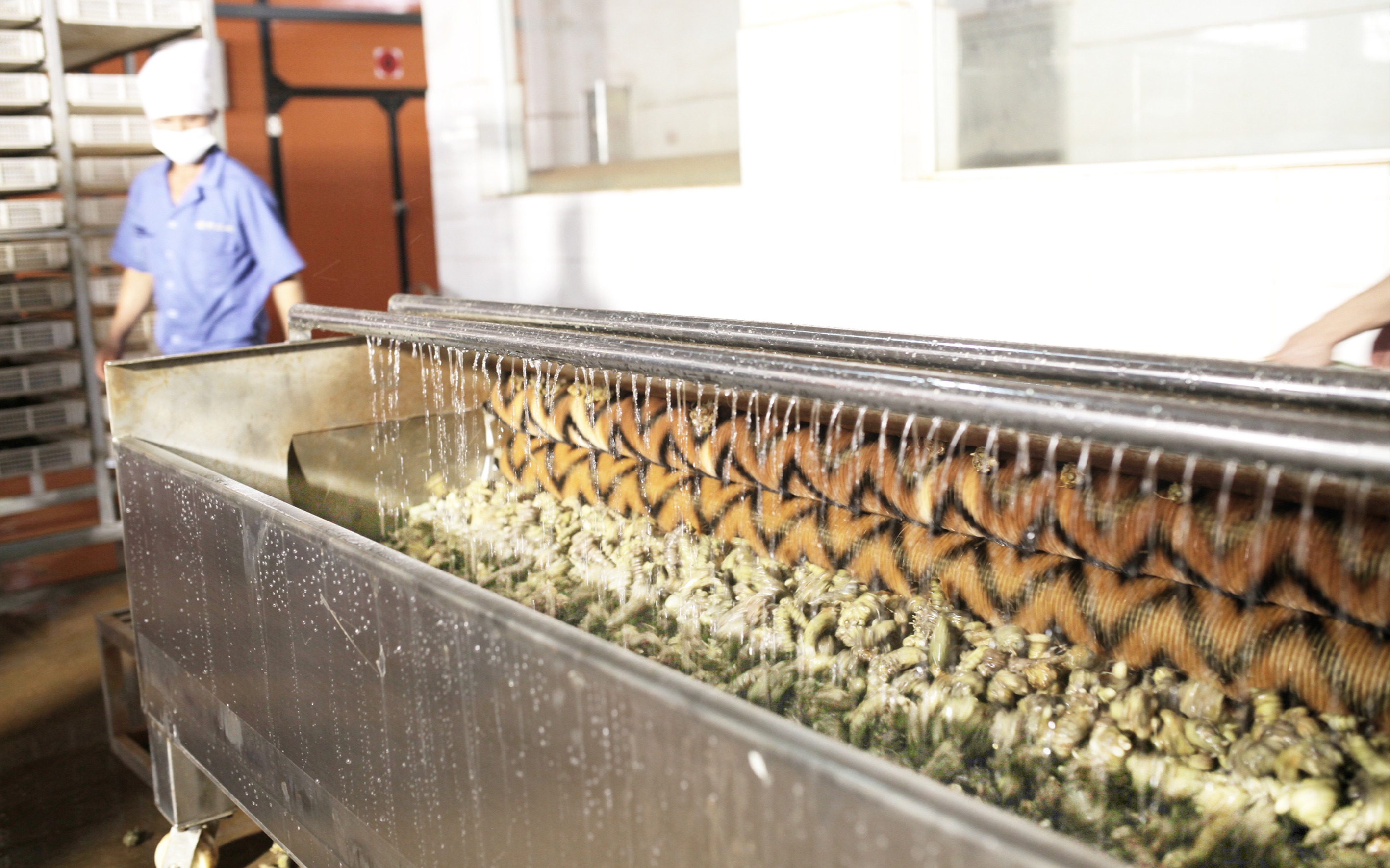 引領(lǐng)三七水洗機(jī)時(shí)代