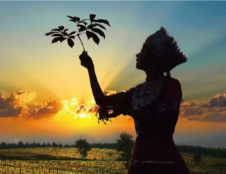 吃三七要在什么年齡，又有什么好處？?