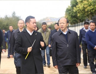 云南省委常委、副書(shū)記李秀領(lǐng)一行到苗鄉(xiāng)三七科技示范園考察調(diào)研