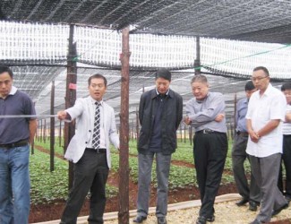 上海市國內(nèi)合作交流中心考察團到文山三七科技示范園調(diào)研