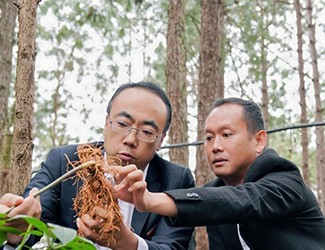 三七良種喜獲豐收，實現(xiàn)產(chǎn)量含量雙突破！